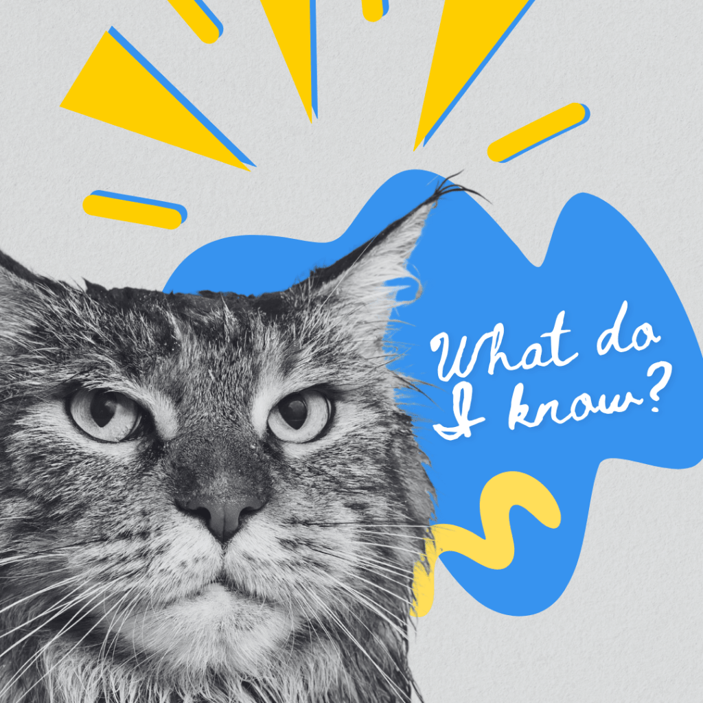 What Do I Know? I’m Just a Teacher.